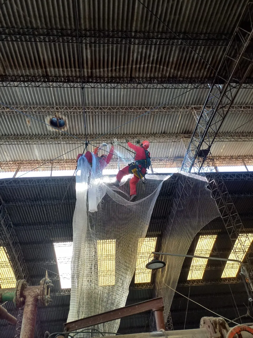 Técnico de Ropre instalando red antipalomas en altura, colgado de la cabreada de una nave industrial